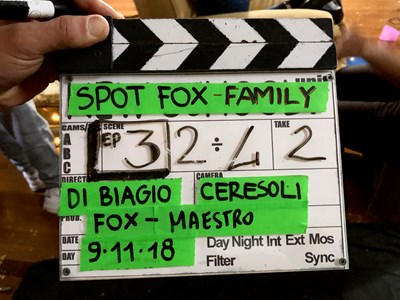 SPOT FOX FAMILY